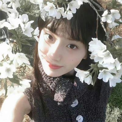 路德探长：落日之殇